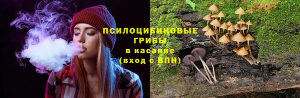 ешки Алексин
