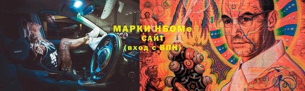 ешки Алексин