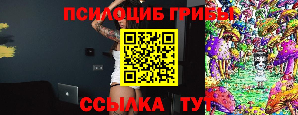 Псилоцибиновые грибы MAGIC MUSHROOMS  Вход с VPN  Шатура 